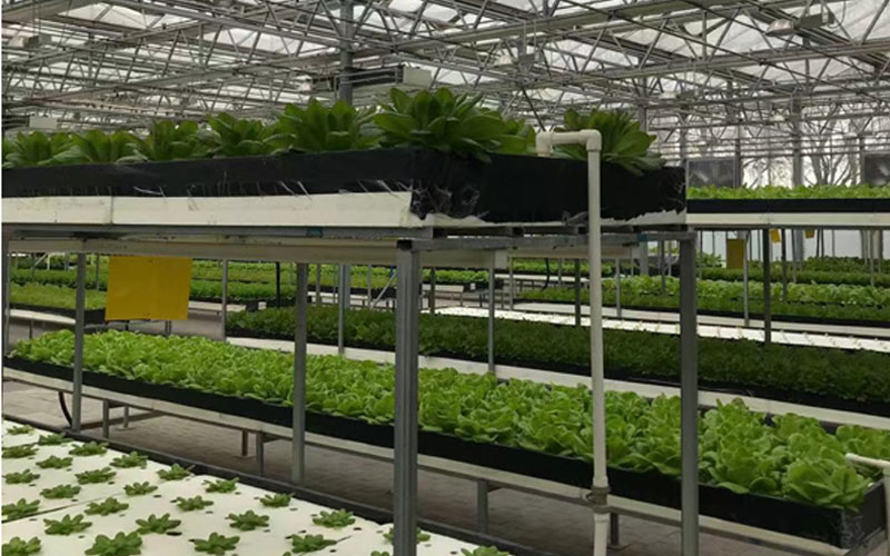 CA88(中国区)官方网站入口