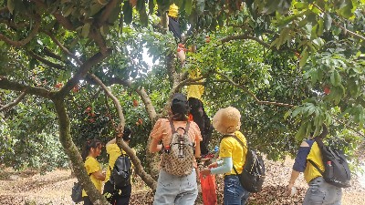 ���縣����yl23455����������֯ժ��֦�